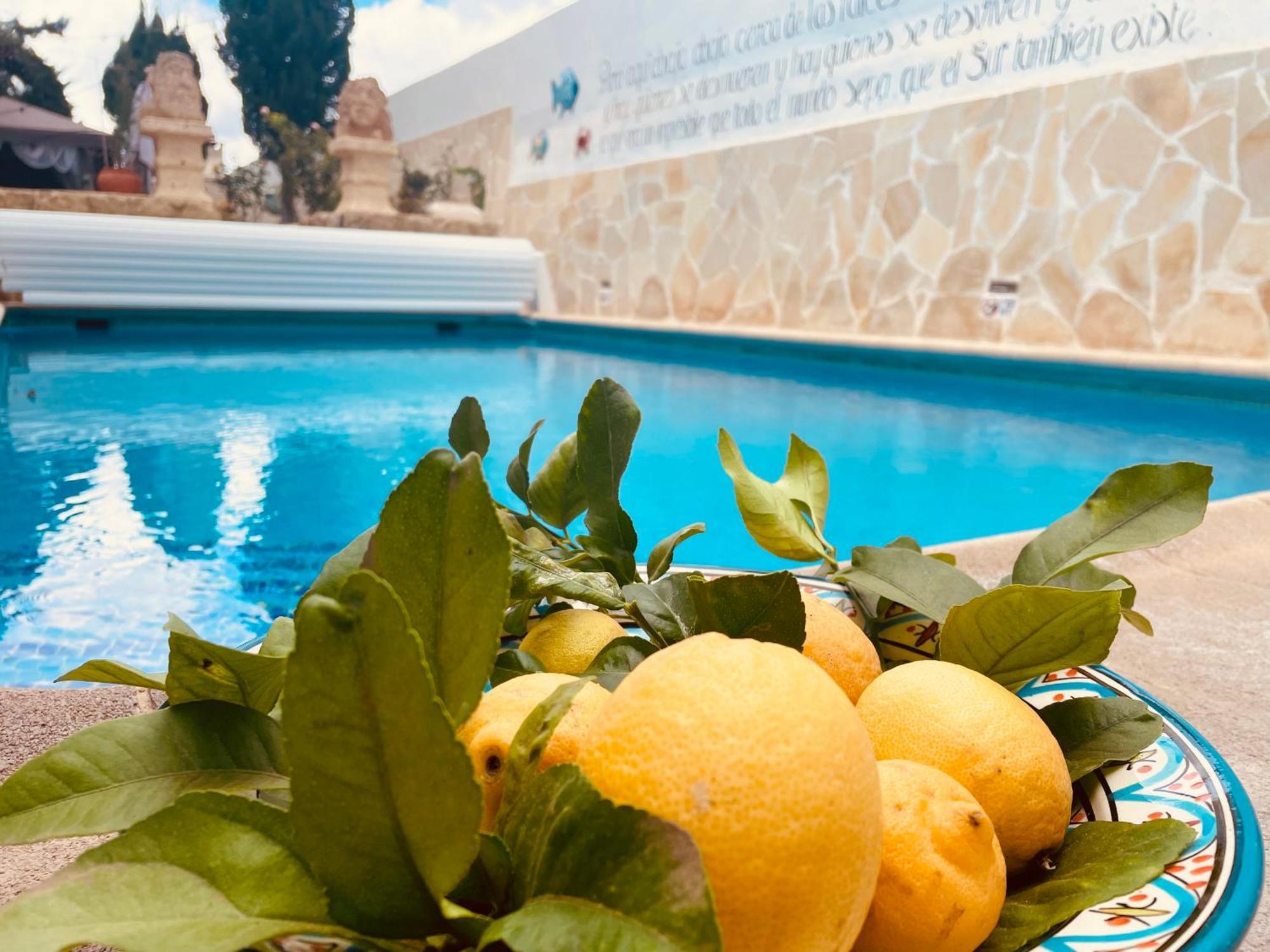 Holiday home Casa Juan Vera Granadilla De Abona